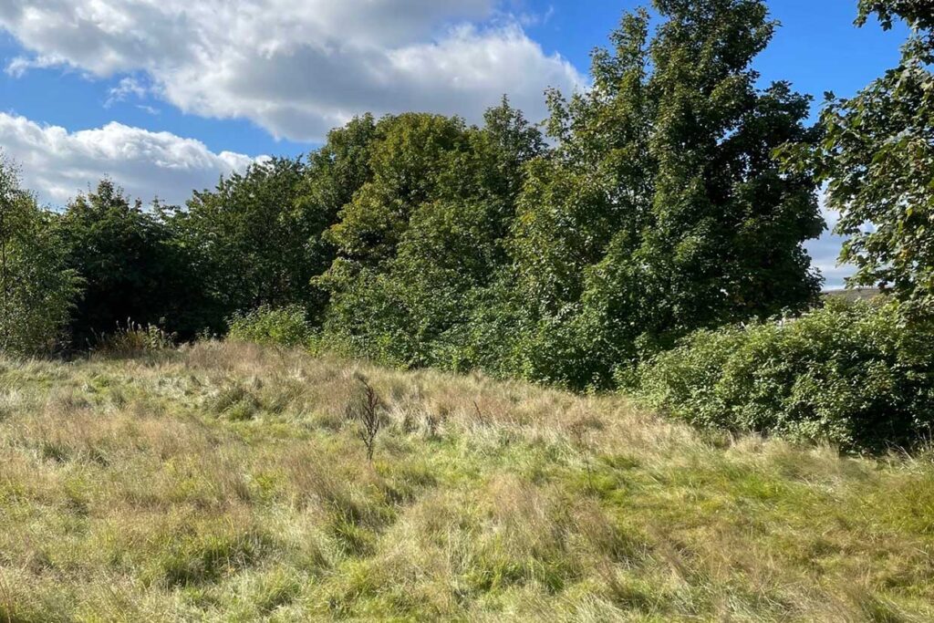 Geo-Environmental Site Appraisal Services
