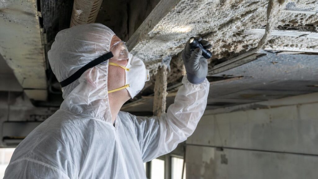 How Asbestos Surveys Can Save Lives and Protect Your Property