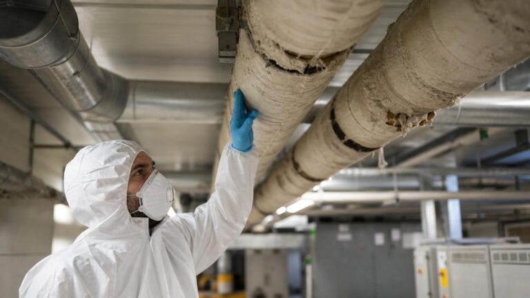 Ensure Compliance and Safety with an Asbestos Management Plan