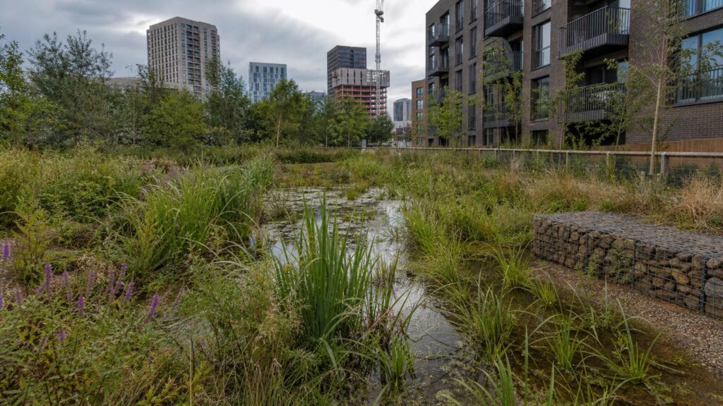Are SuDS now expected on your scheme in Manchester?