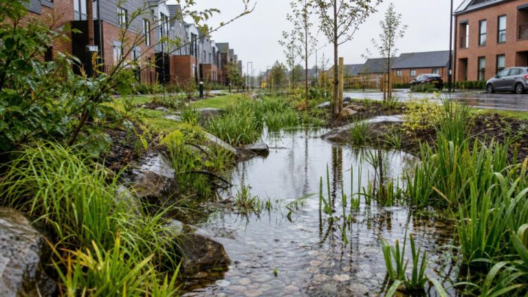 SuDS Set to Become Mandatory – What Developers Need to Know