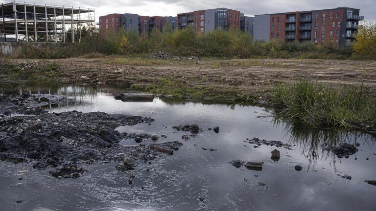 UK Falling Behind EU Environmental Standards – What It Means for Developers