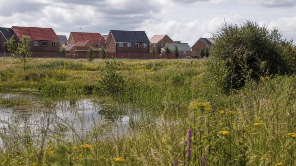 Biodiversity Net Gain Awareness Low – Why It Matters for Developers