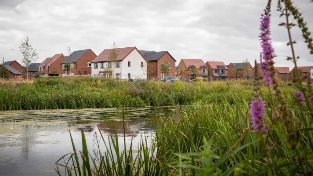 Ecology vs Housing? How to Deliver Both Without Delay