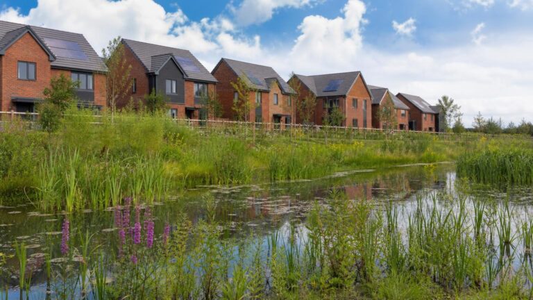 Planning for a Nature Levy – Reduce Costs by Designing BNG In