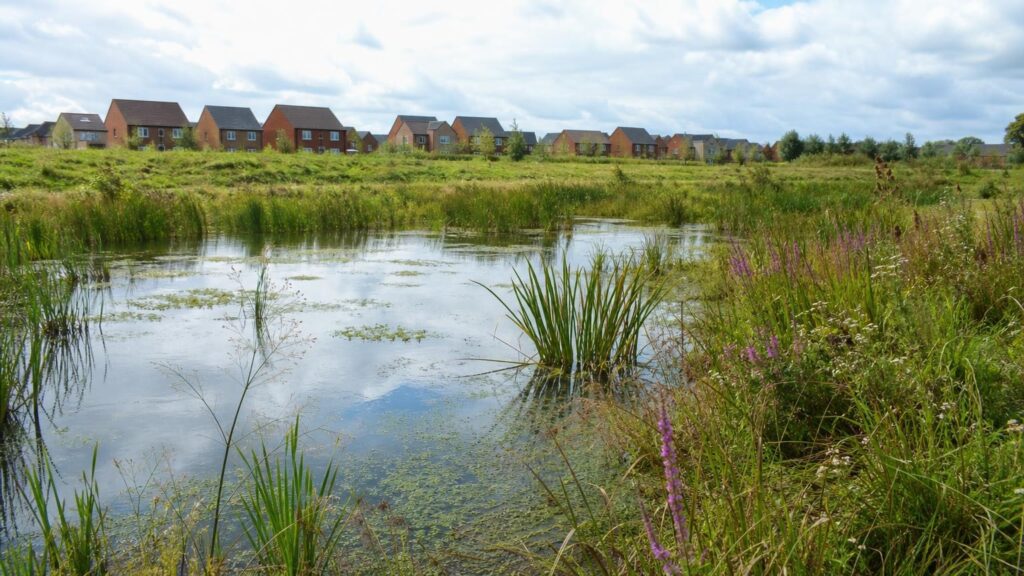 Greenbelt Development? How Environmental Delivery Plans Can Keep You Compliant