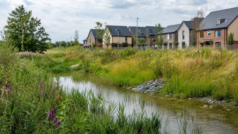 Biodiversity Net Gain: Why Every Development Needs It in 2025