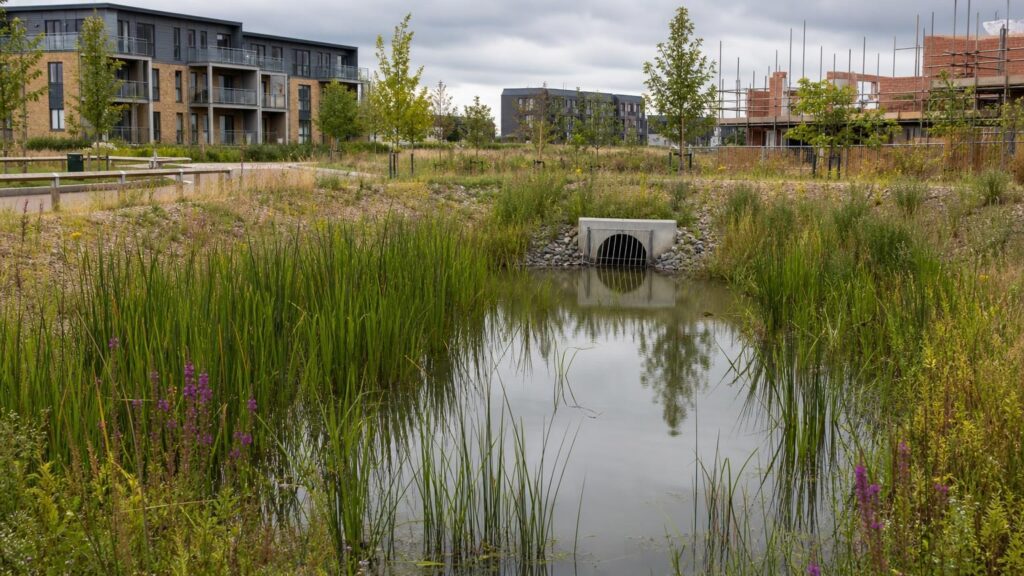 Leveraging the Environmental Improvement Plan for Sustainable Developments