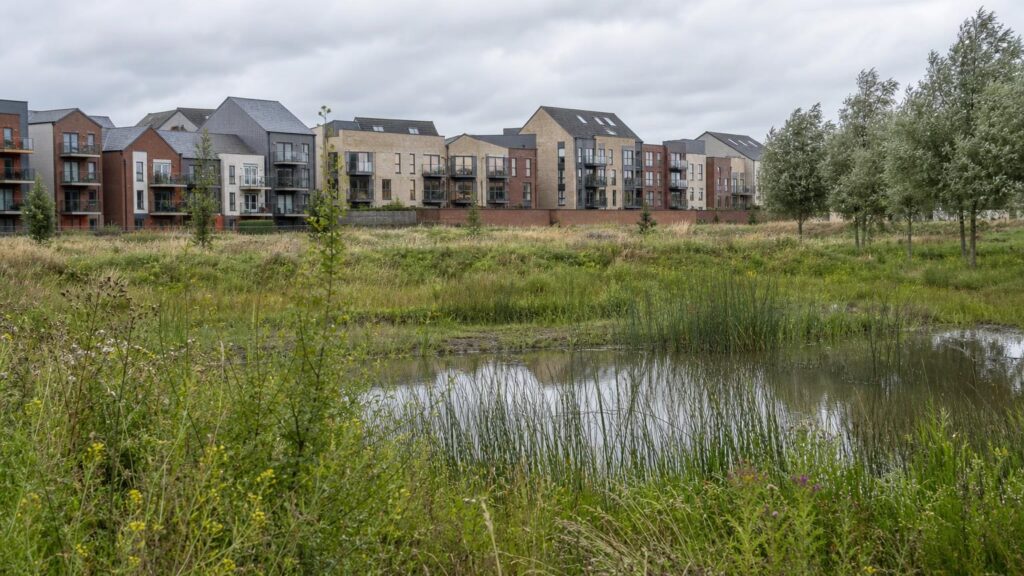 Green Space Offsets: What the Planning Bill Could Mean for Your Scheme