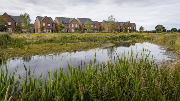 £500m Nature Restoration Fund: Position Your Scheme to Benefit