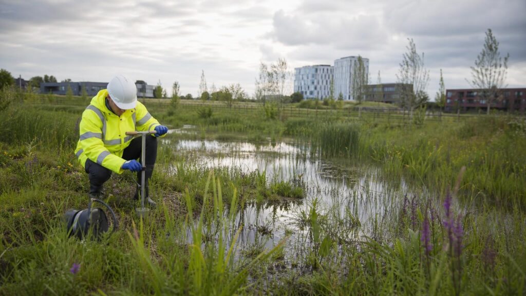 BNG in Practice: Turning SuDS Into Biodiversity Units