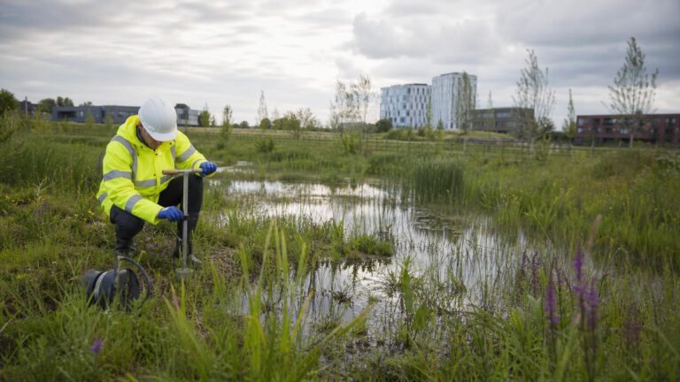 BNG in Practice: Turning SuDS Into Biodiversity Units