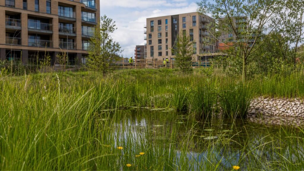 Nature Recovery Meets Planning Reform: Ecology That’s Proportionate and Buildable