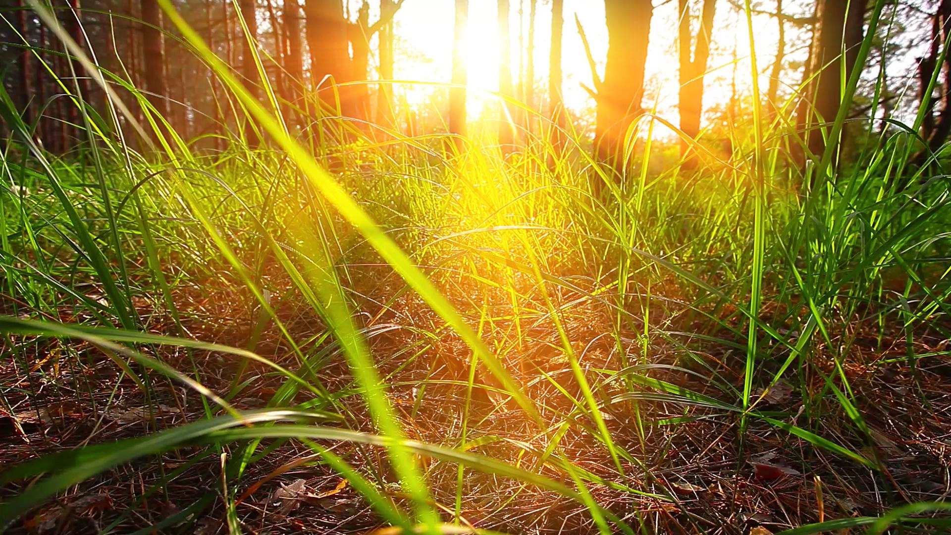 How Phase 1 Desktop Studies Help Developers Avoid Costly Mistakes